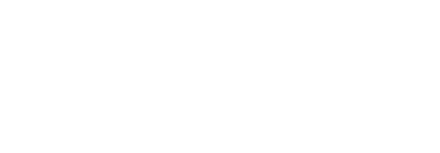 PFM Sintesi Srl Societa Benefit